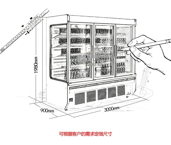 帶門(mén)LF-DB飲料風(fēng)幕柜