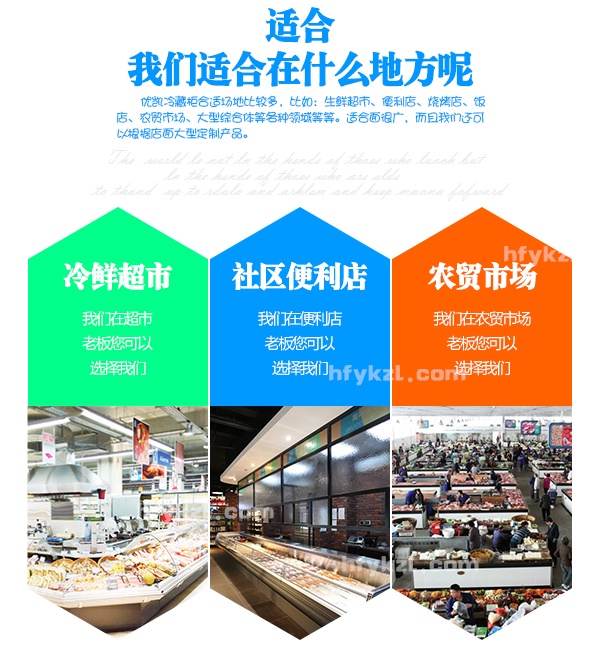 16XR-A豪華鮮肉柜-分類(lèi)頁(yè)面